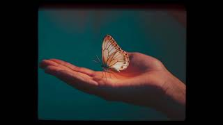 Noyan Gibi Gibi - Seni Kaybettiğimin Kaçıncı Yılı?