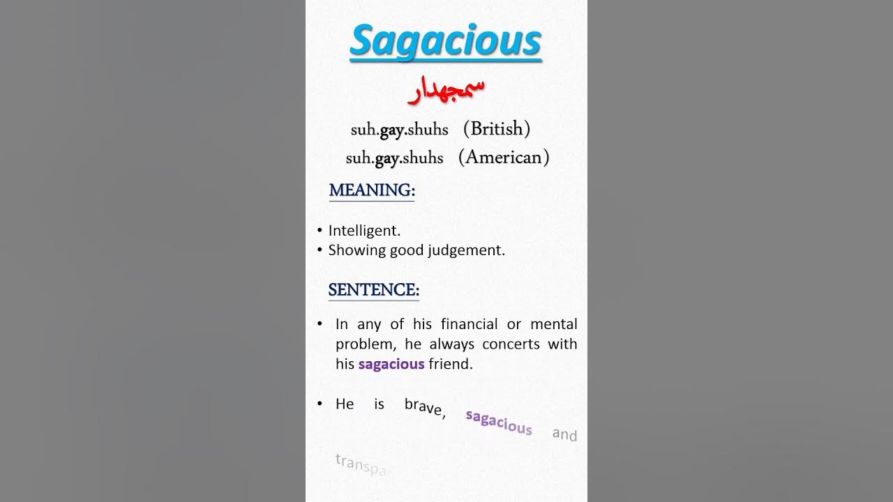 sagacious-meaning-shorts-youtube