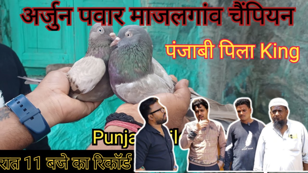 Majalgao k Kabutar baaz ARJUN Pawar #ustadjeetthakurparty #pigeon #pujabikabutar