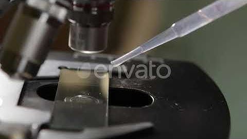Scientist Studying Specimen With Microscope | Stock Footage - Envato elements
