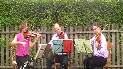 J. Haydn; String Trio no. 4 in G major - Tempo di Menuetto