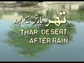 Thar After Rain produced by PTV producer Nazimuddin for Pakistan Television