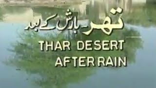 Thar After Rain produced by PTV producer Nazimuddin for Pakistan Television