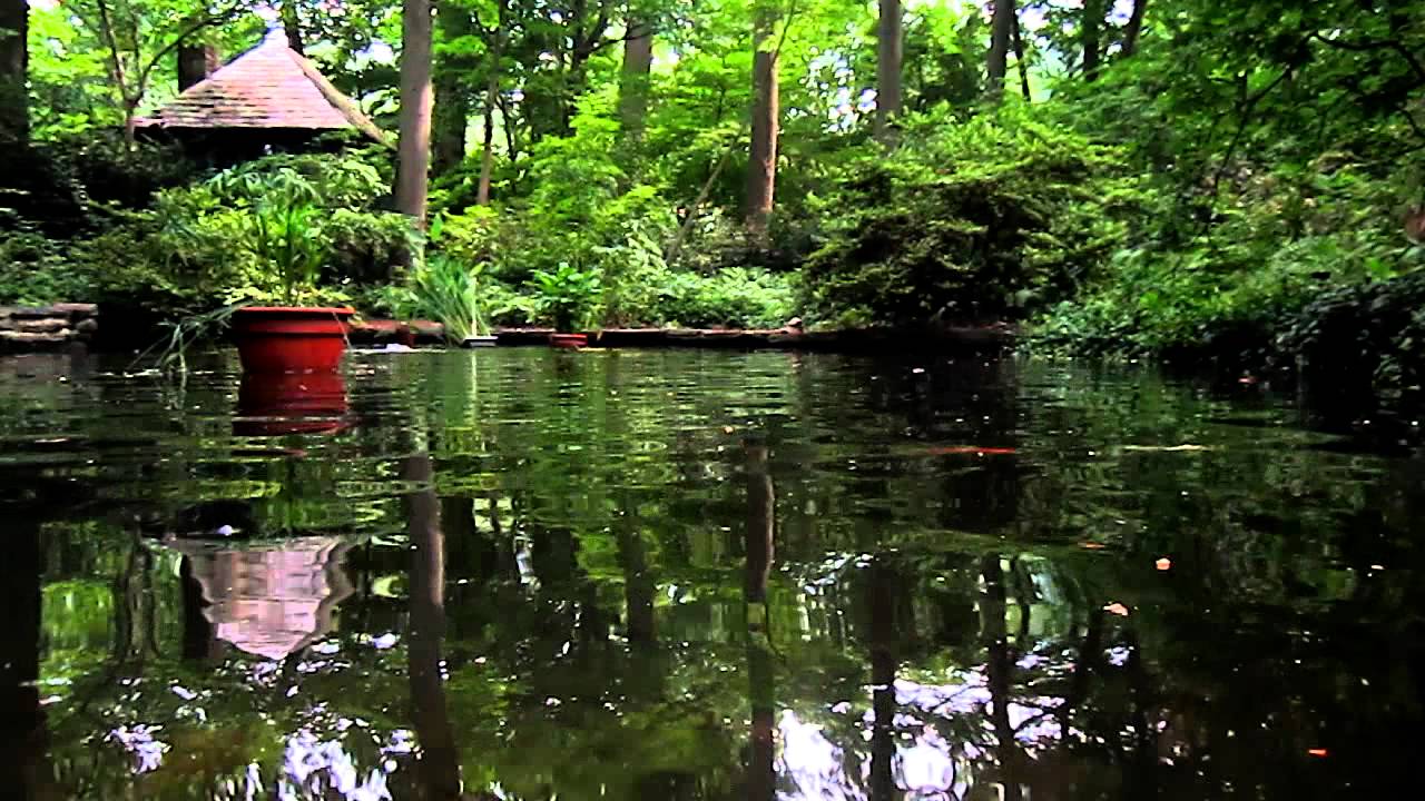 The Barnes Foundation Gallery Arboretum Pond Near Tea House Art