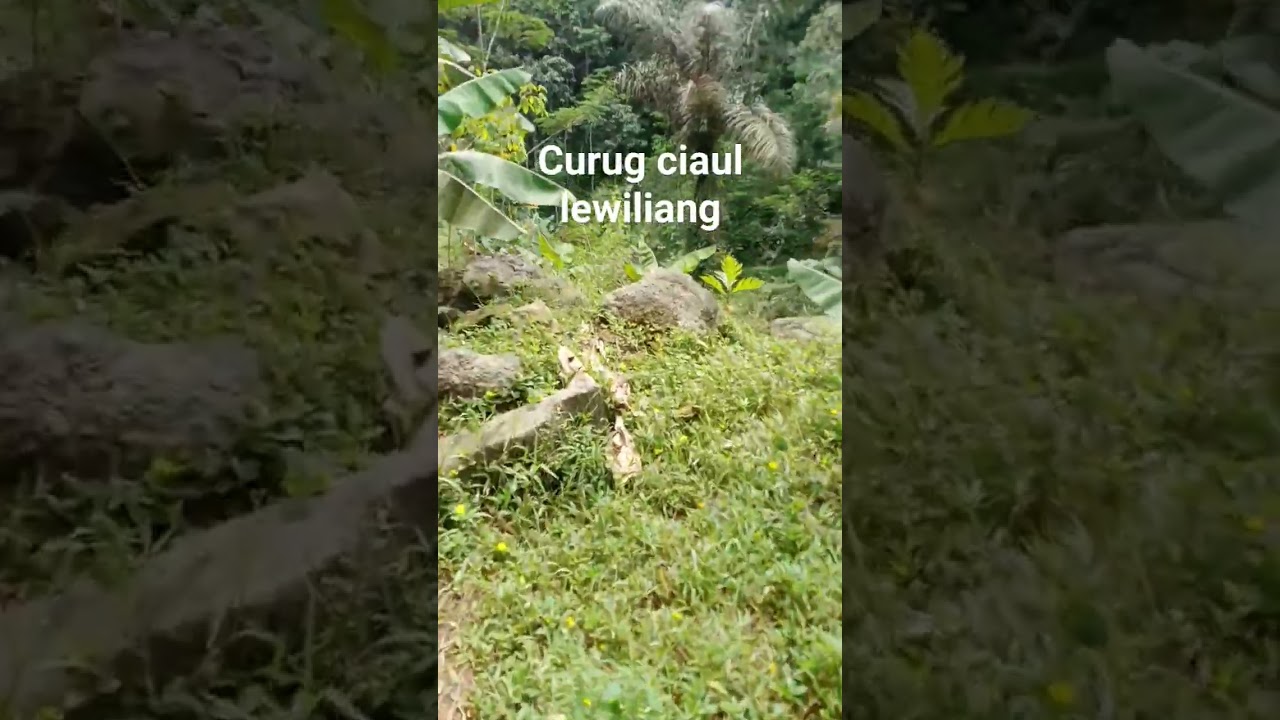 Curug ciaul 