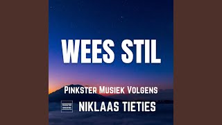 Jesus Lewe (feat. Niklaas Tieties)