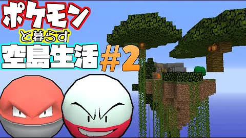 せぶーん ポケモンと暮らす空島生活 43