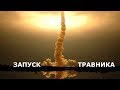 ЗАПУСК АКВАРИУМА и посадка растений в мегаскейперскую-банку!