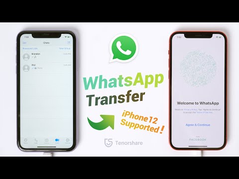 ¡Cómo restaurar WhatsApp desde Google Drive a un iPhone!. 