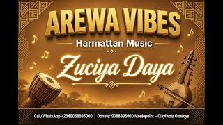 Zaki Vibes| Groovy hausa song | Arewa vibes| Zuciya Daya 