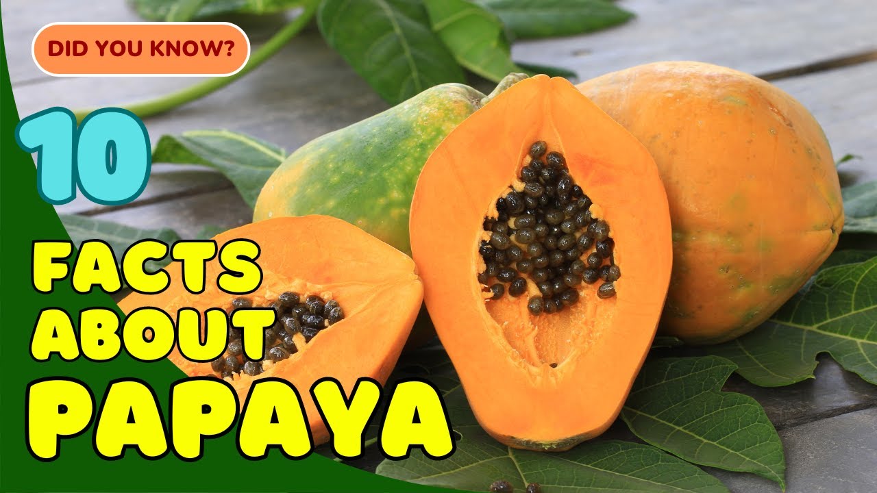 10 Fascinating Facts About Papaya You Didn’t Know! 🍈