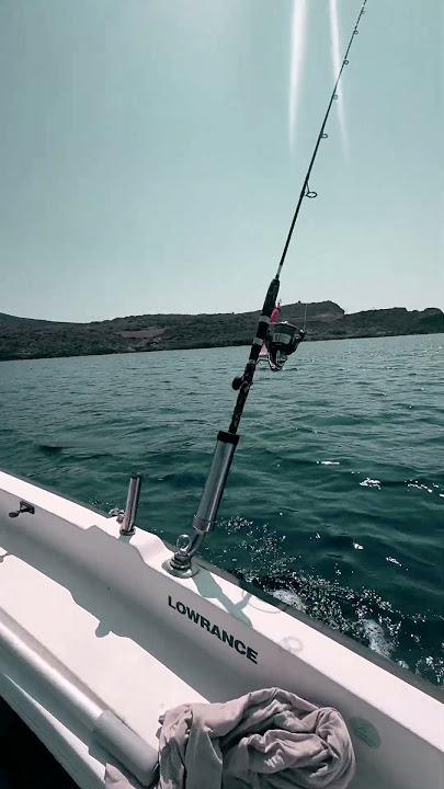 BACK AGAIN JIGGING ZONE #yamaga #zenaq #yuki #jigging #yamagablanks #mancing #daiwa #certate #spj