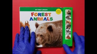 Forest Animals
