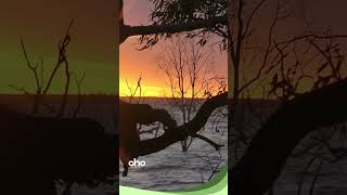 Làm Quán Âm Để Rửa Sạch Những Cảm Giác Tội Lỗi