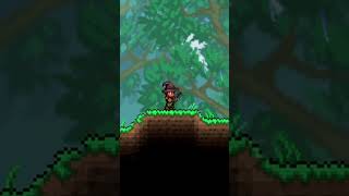 After spending too long in Terraria @RationalGamers