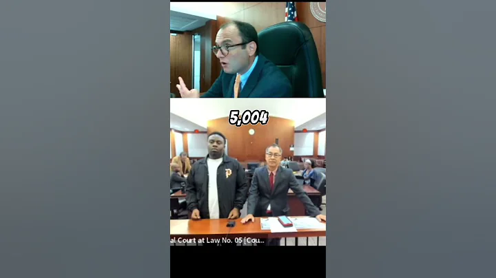 You Are A Flight Risk #court #judge #lawyer #contemptofcourt #bond #court