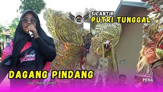 DAGANG PINDANG Voc. NENG AMEL  || SINGA DANGDUT - SICANTIK PUTRI TUNGGAL