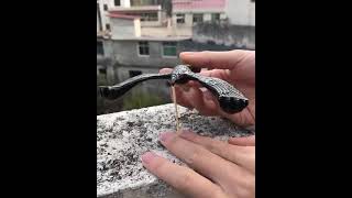 Cool Balancing Bird 😱 Cool Gadget