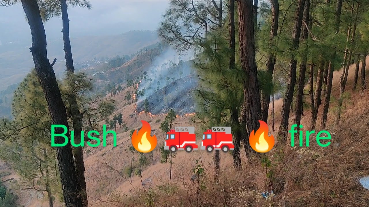 BUSH FIRE - YouTube