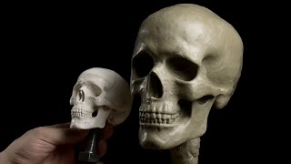 Sculpting Life Size Skull Time Lapse