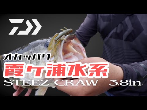 DAIWA 実釣ルアーマニュアル　スティーズクロー3.8in(STEEZ CRAW)赤羽修弥