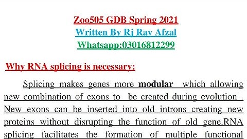 ||Zoo505 GDB Spring 2021||Life Star Academy||By Rj Ray Afzal||