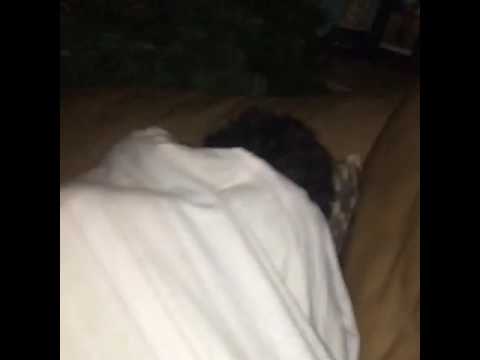 When You Dreaming About Fucking Alexis Texas 