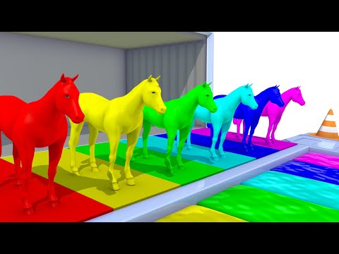 Learn Colors with  Horses  Water Slide Colors for Kids Nursery Rhymes for Children