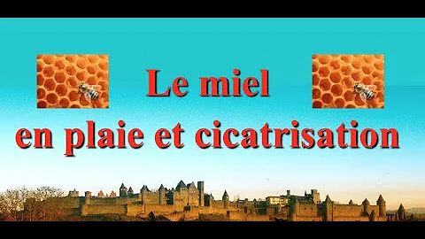 Quel type de miel pour cicatriser une plaie ?