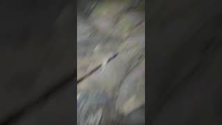Заброшенка часть 2