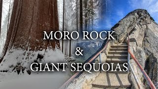 Hiking Moro Rock & The Giant Forest in the Winter