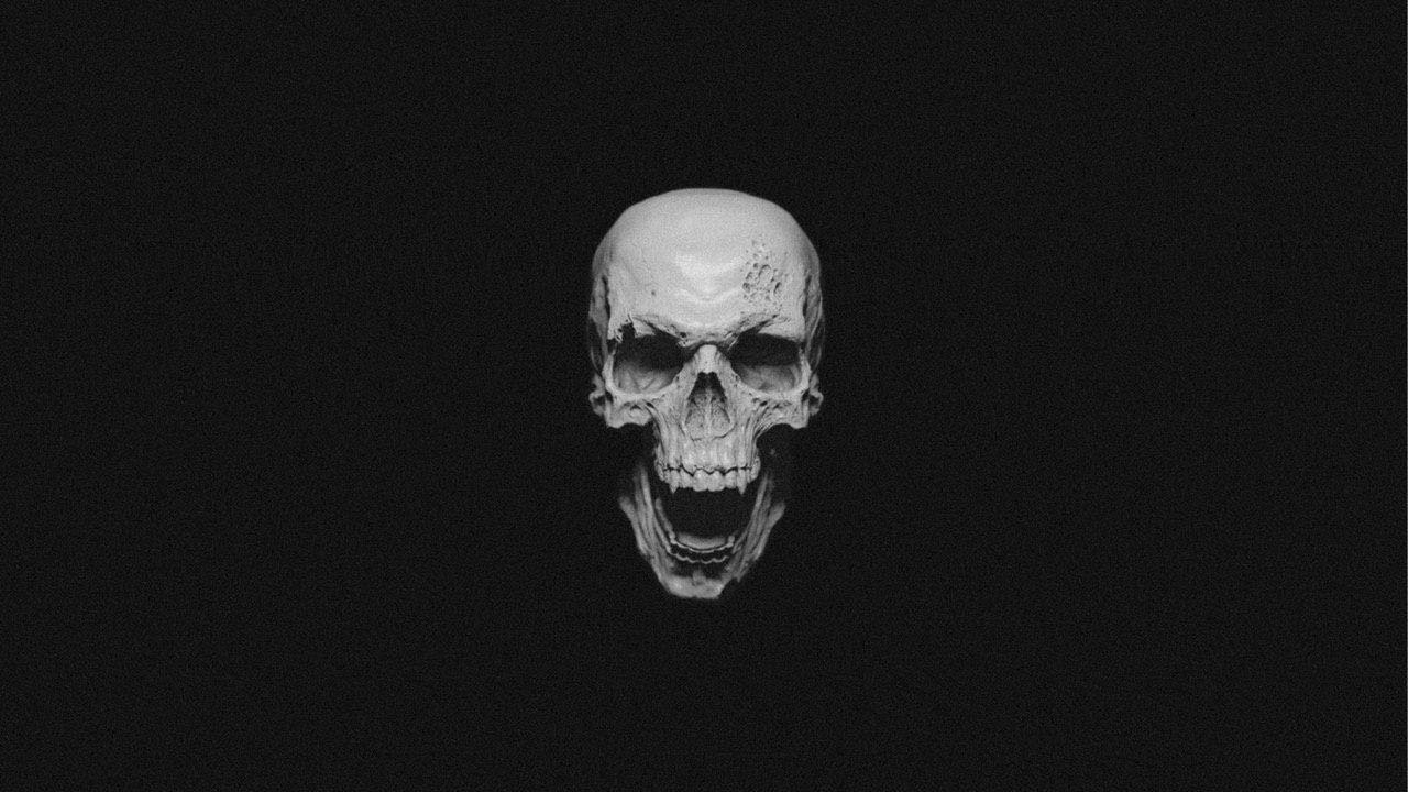 Flinty Phonk Skull (for headless)