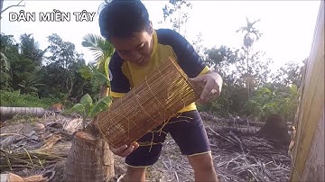 ĐẶT LỢP CÁ BỐNG DỪA | TẬP 1 - DỞ LỢP TRÚNG MÁNH GẶP Ổ CÁ BỐNG DỪA TOÀN HÀNG KHỦNG | DÂN MIỀN TÂY ✔