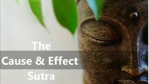 Cause and Effect Sutra (HD)