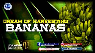 ARTI MIMPI PANEN PISANG II Makna dari Evangelist Joshua