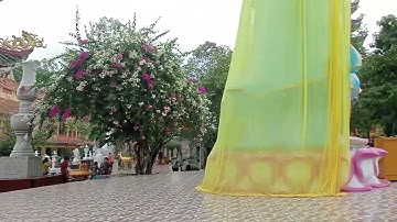 Chùa Thái Sơn Núi Cậu ( Tây Ninh Quê Tôi)