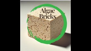 Inside the Future of Eco-Friendly Construction Algae Bricks