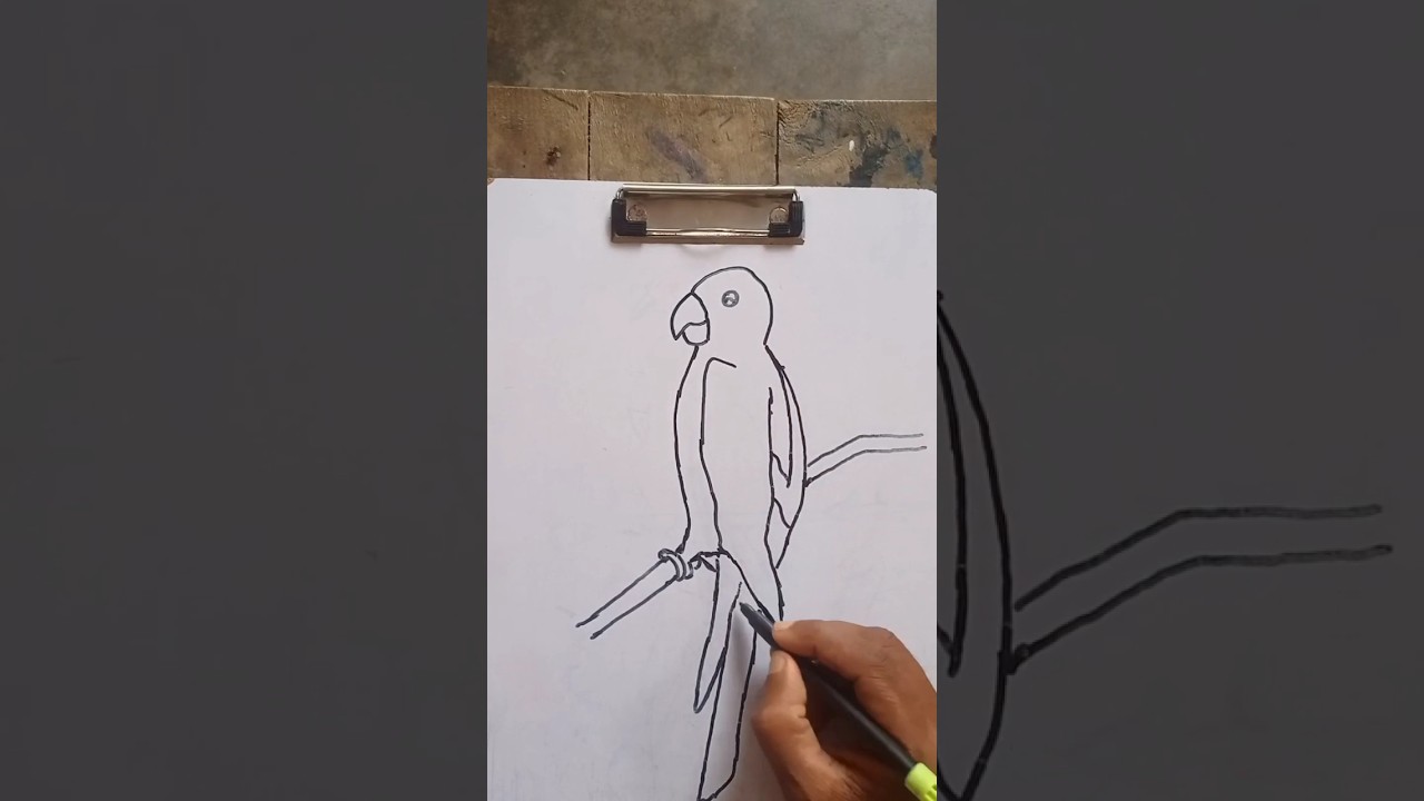 Assista a parrot drawing sketch#shortvideo #guddu artist no YouTube Assista a parrot drawing sketch#shortvideo #guddu artist no YouTube