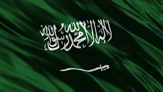 Saudi Arabia 3D flag waving background 4K video free download screenshot 1