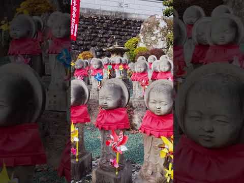 【高知県観光】四国ぼけ封じ三十三観音第十一番霊場遍照山金剛寺を参拝してきた！【旅行VLOG、レビュー】 #遍照山 #金剛寺 #高知県 #本山町 #四国ぼけ封じ三十三観音霊場 #ミニ八十八ヶ所