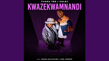 Thama Tee & Chley - Kwaze Kwamnandi  (Official Audio) (Ft. Sbuda Maleather & Pabi Cooper) | AMAPIANO