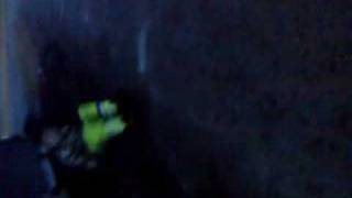 Have Not Milk On Kvithylla