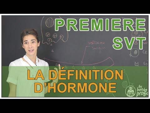 Vidéo: Est-ce que les fonctions des hormones ?