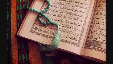 سورة الفاتحة   الشيخ وديع اليمني