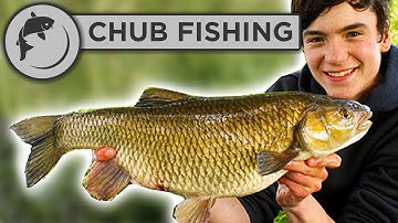 How To Catch Chub - THE FULL GUIDE!