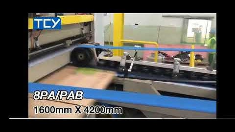 TCY medium-end inline printing machine