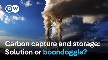 Are EU states caving to a lukewarm, industry-friendly climate agenda for COP30? | DW News