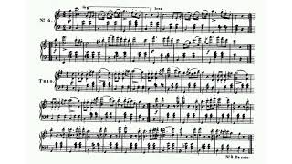 Meyerbeer/Strauss - Robert-Tanze for orchestra Op. 64 (audio + sheet music)