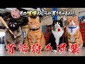 首輪狩り逆襲