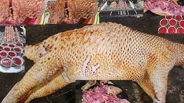 ĐẶC SẢN NHÍM RỪNG, Làm các món tổng hợp